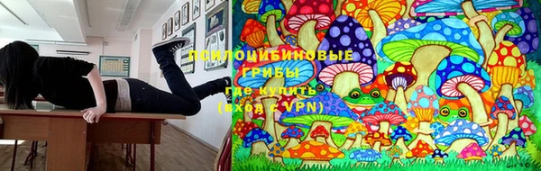 бошки Алексин