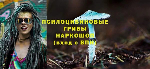 таблы Алзамай